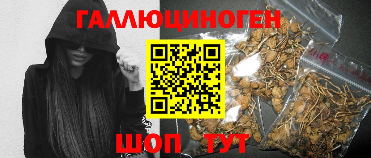 где купить   Вход с VPN  Будённовск  Галлюциногенные грибы GOLDEN TEACHER  Галлюциногенные грибы ЛСД 