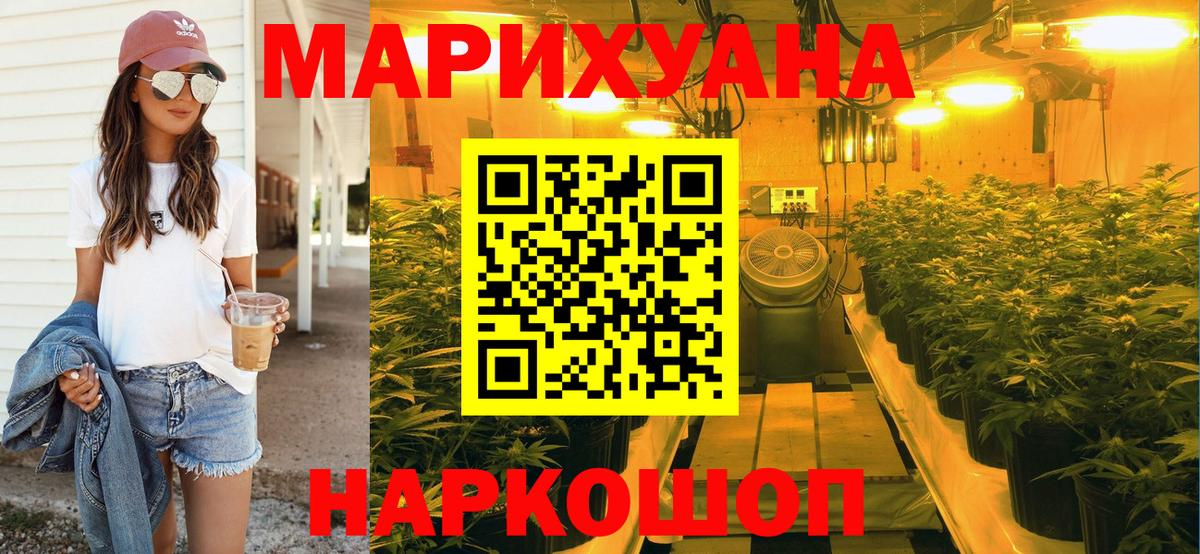 Конопля план Будённовск